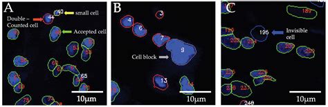 Biomolecules Free Full Text Deetect A Deep Learning Based Image