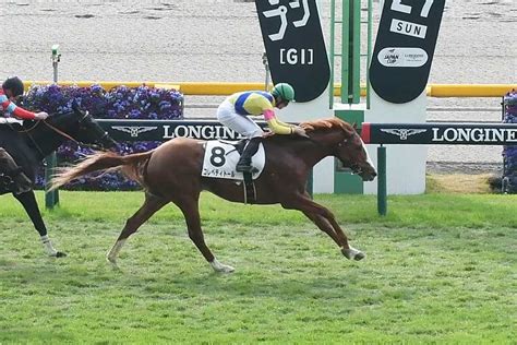 【2歳次走報】コレペティトールはこうやまき賞に サンスポzbat