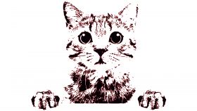 Cute Cat Transparent Background - Photo #1 - ToonsNetwork - Find and ...