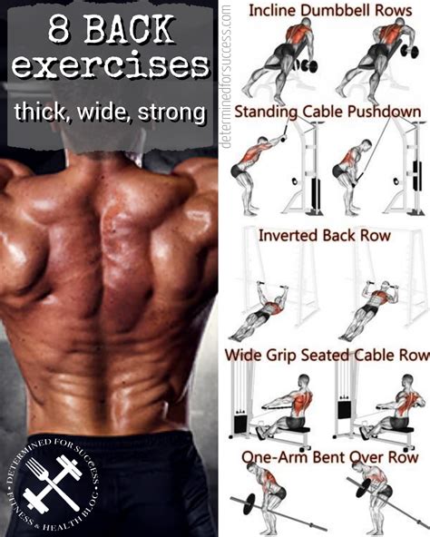 2019 8 BACK Exercises That Give You A Thicker Wider Stronger BACK