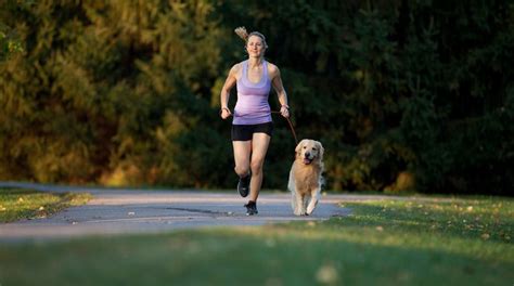 Salir A Correr Con El Perro Mascotas Abc Color