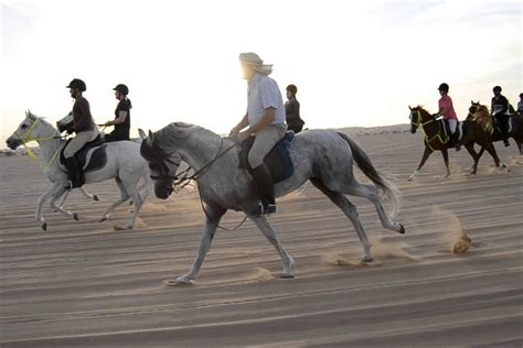 Desert Horse Riding Adventure Dayturcom