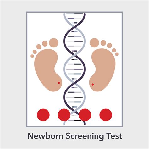 Newborn Screening Test Vector Illustration Infographic Vector