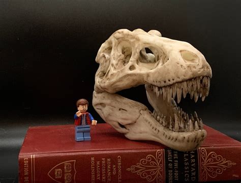 Tyrannosaurus Rex Skull Replica T-rex Skull Trex Skull - Etsy