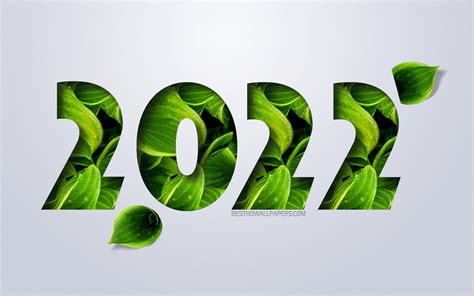 Download Wallpapers 2022 New Year Green Leaves 2022 Eco Background