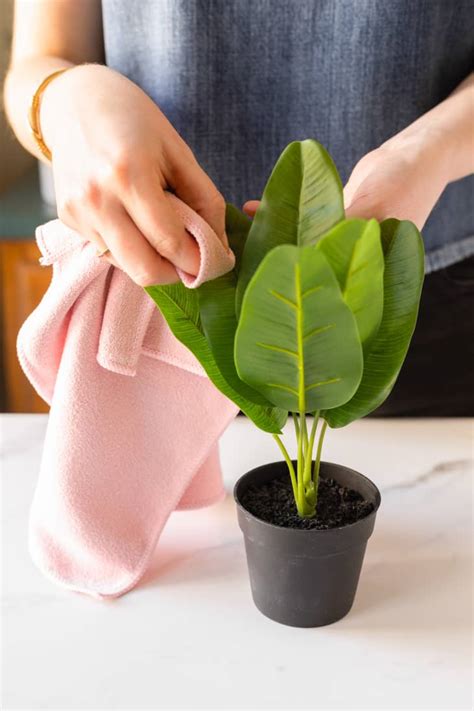 How To Clean Artificial Plants Plant Ideas