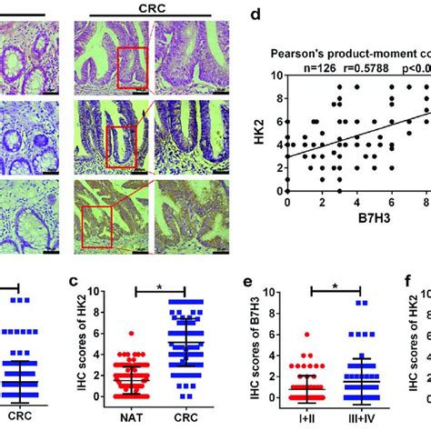 Hk2 Protein Levels Positively Correlated With B7 H3 Expression In Crc Download Scientific