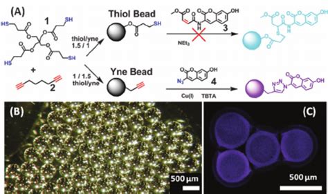 A Making Thiol And Yne Beads Via Thiolyne Chemistry And Fluorogenic