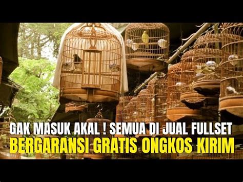 Bergaransi Burung Gacoran Mewah Yang Di Jual Fullset Gratis Ongkos