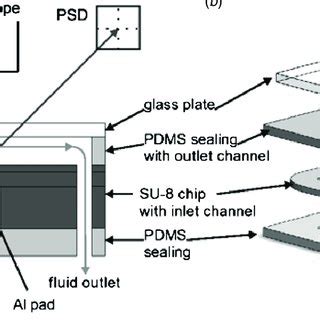 Schematics Drawings Of The Microfluidic Setup For Clarity The