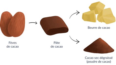 Le Chocolat Est Il Bon Pour La Sant Dna Directory