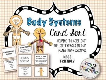 Body Systems Card Sort By Tied 2 Teaching TPT