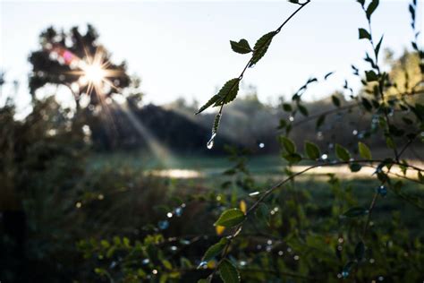 Irrigation Techniques 101 What You Should Know Watermaster