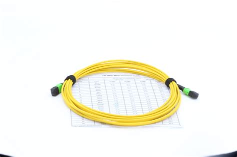 12f 16f 24f 48f Mpo Mpo Sm Fiber Patch Cord 3 0mm Lszh G657a1 Super Low Insertion Loss