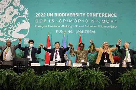 Les 8 Chiffres Clés De La Cop 15 Biodiversité Plan Bio