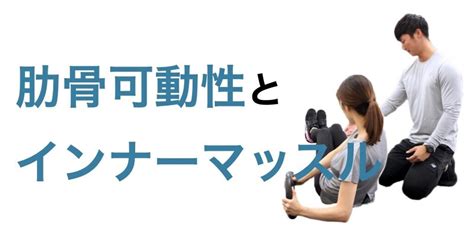 肋骨可動性とインナーマッスル｜平 純一朗｜理学療法士×アスレティックトレーナーnote