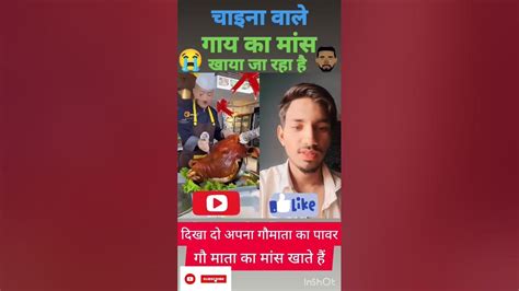 😱गाय का मांस खा रहे हैं 🤭shortfeed Youtubeshorts Shorts Short