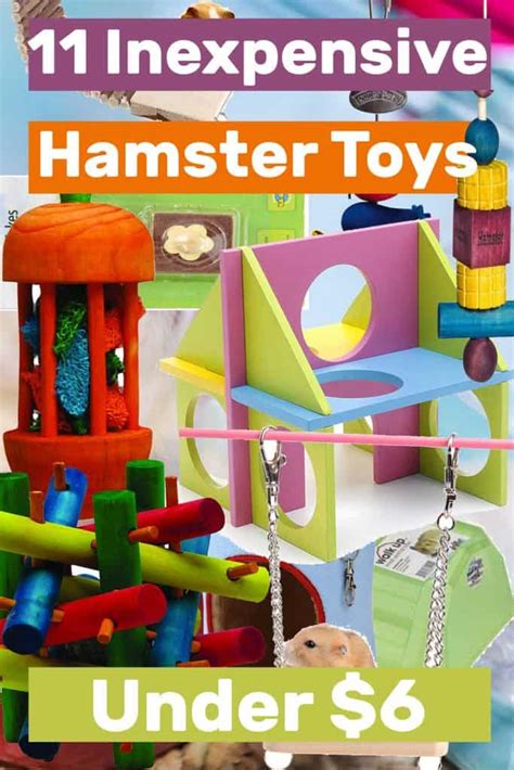 11 Inexpensive Hamster Toys That Your Hammy Will Love – Hamsters101.com