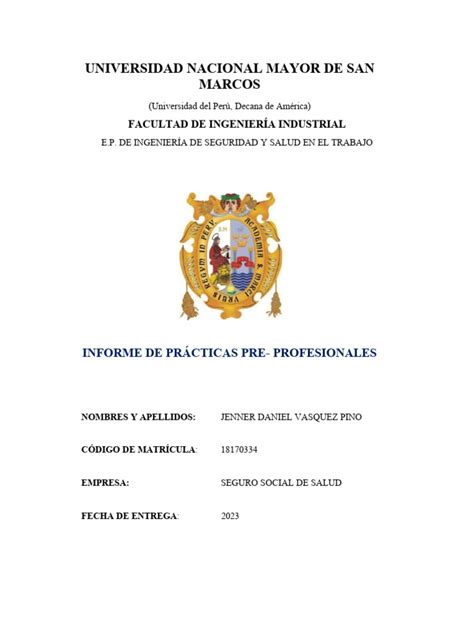 Informe Practicas Pre Profesionales Daniel Vasquez Descargar Gratis Pdf Hospital Seguridad