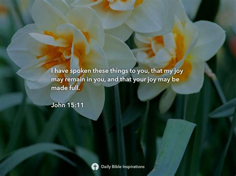 John Daily Bible Inspirations