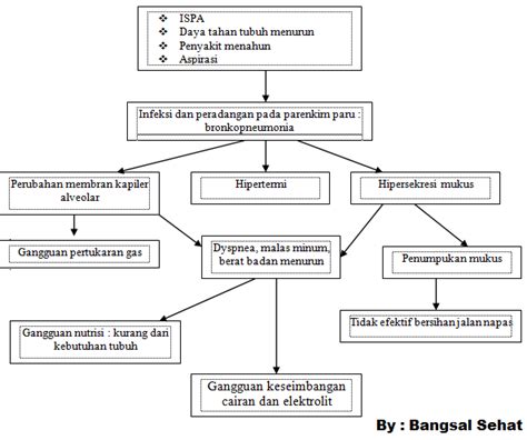 Patofisiologi Dan Pathway Bronkopneumonia Bp Download Format Doc