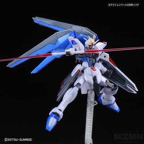 Hg Freedom Gundam Vs Force Impulse Gundam Battle Of Destiny Set