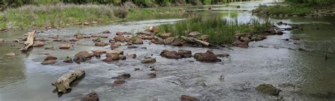 Mckinney Roughs Loop Trail Texas Reviews Map Alltrails