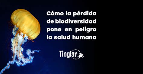 Cómo La Pérdida De Biodiversidad Pone En Peligro La Salud Humana Revista Tinglar