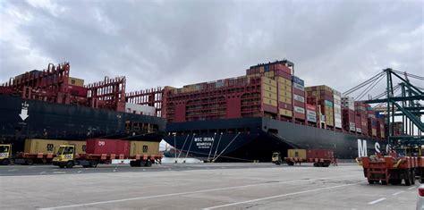 Los Tráficos De Valenciaport Descienden Un 8 14 Hasta Julio Por La