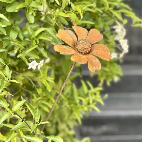 D Chamomile Daisy Metal Sculpture Rusty Garden Stake Rusted Flower