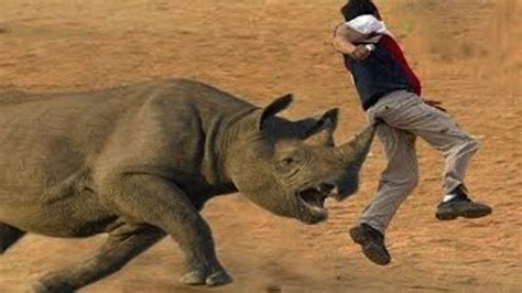 Wild Animal Attack On Human