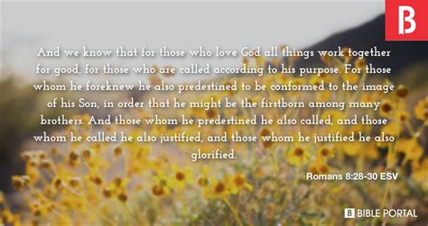 Romans 8 28 30 Esv Picture Bible Image Bible Portal