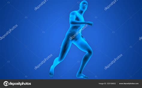 Human Running Man Anatomy Stock Photo by ©magicmine 325106832