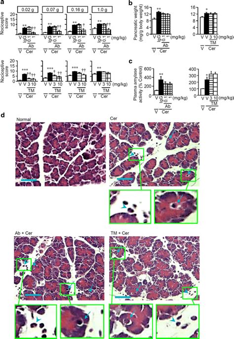 Effect Of Pretreatment With The Anti HMGB1 Neutralizing Antibody Or