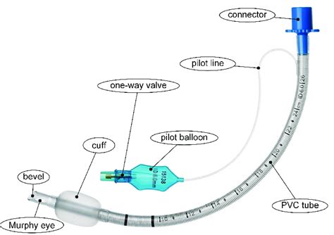 Architecture of a standard ETT. | Download Scientific Diagram