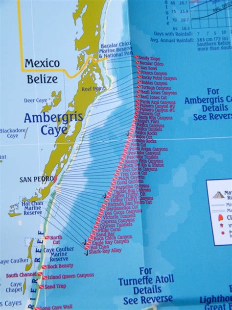 Btb Launches Belize Dive Map In San Pedro The San Pedro Sun