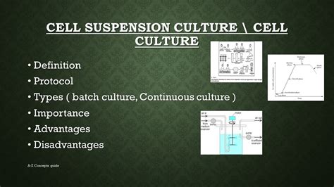 Cell Suspension Culture Cell Culture Plant Tissue Culture A Z