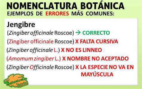 C Mo Escribir Nombres Cient Ficos De Plantas Botanical Online