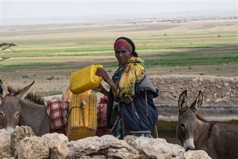 A Closer Look At The Water Crisis In Somalia The Borgen Project