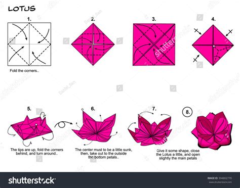 Origami Traditional Flower Lotus Diagram Instructions Stock