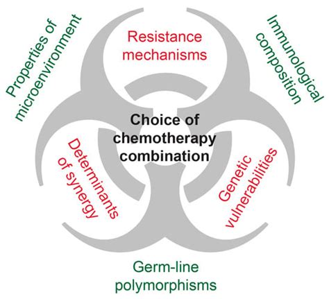 Ijms Free Full Text Targeting Molecular Mechanisms Underlying