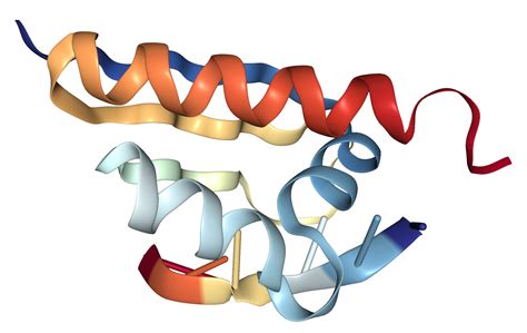 PCBP1 Protein Overview Sino Biological