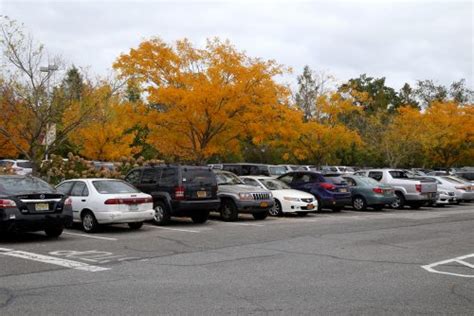 Parking & Traffic | Vehicle Permits | Adelphi University