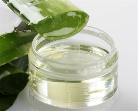 Aloe Vera Come Estrarre Il Gel E 10 Modi Per Usarlo GreenMe