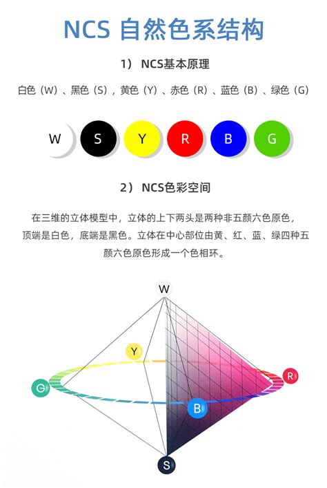 2022新版 Ncs色卡扇形版色彩设计工具 Ncs Index 2050 潘通官方商城