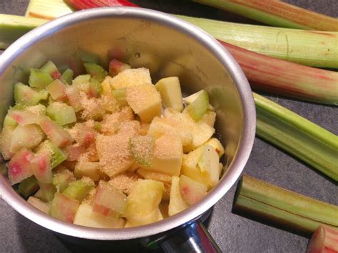 Compote Pomme Rhubarbe Partir De Mois Avec Mes Petites Mains