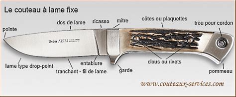 Les Couteaux Types Formes Anatomie