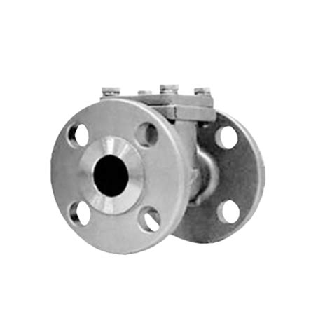 Series 416 Stainless Steel Swing Check Valve Apex Industrial Solutions