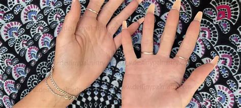 Unlocking The True Power Of Palm Reading Destiny Palmistry