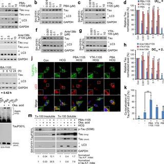 PDF The AUTOTAC Chemical Biology Platform For Targeted Protein